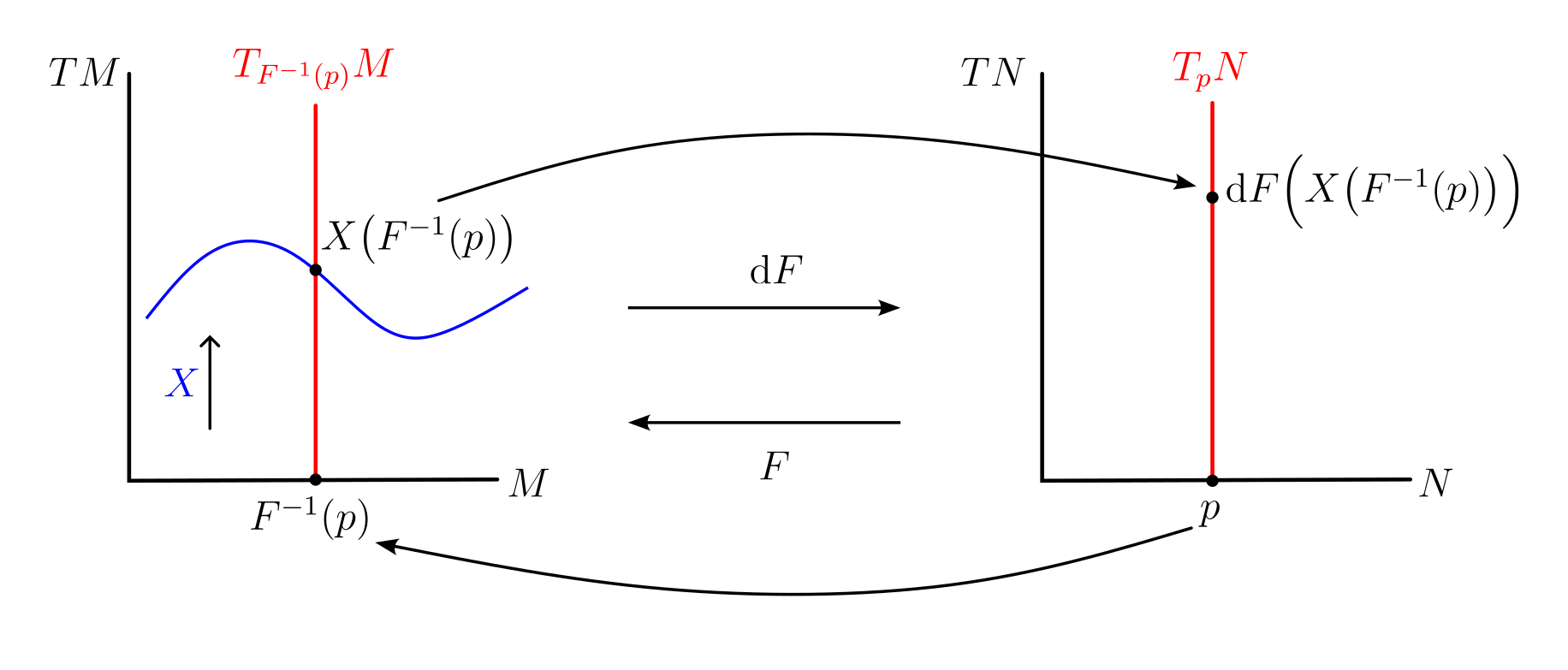 transport_des_champs_de_vecteurs_par_un_diffeomorphisme.png